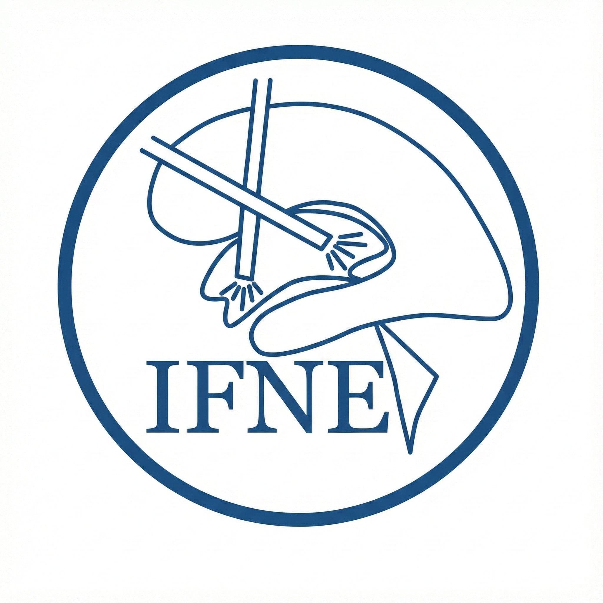 Logo IFNE - Federación Internacional de Neuroendoscopia